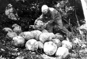 Каменные шары для стрельбы из катапульт, которыми уничтожили Монтсегюр. Раскопки 1968 года