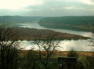 Alitus forests around the Neman