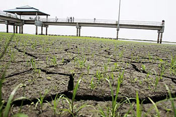 The Drought in California