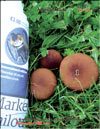 Agaricus Black